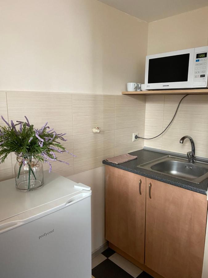 Family Apartment Liov Exterior foto